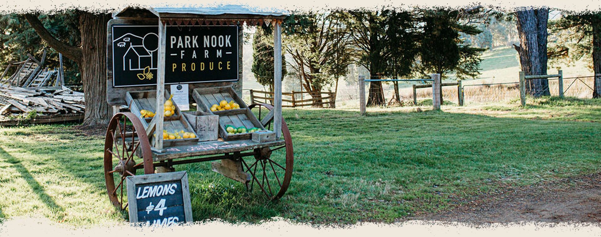 Lemons and Limes at Park Nook Farm in Christmas Hills