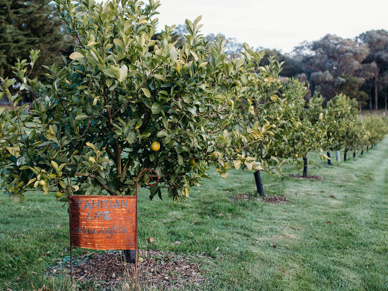 Produce for sale in the Yarra Valley